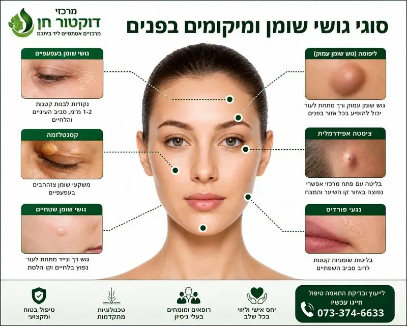 סוגי גושי שומן ומיקומים בפנים